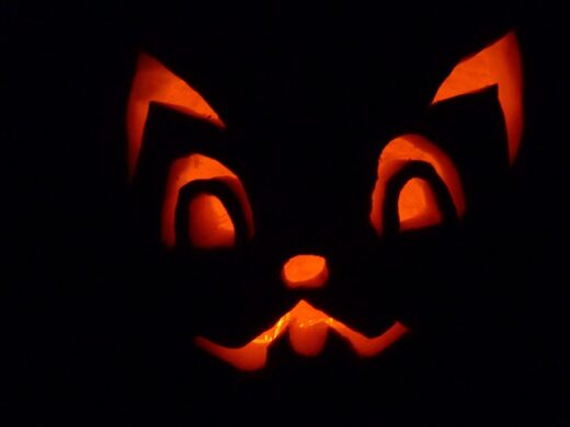 Pumpkin Cat Face for Jack O Lantern - Cat Pumpkin Carving Ideas 2022